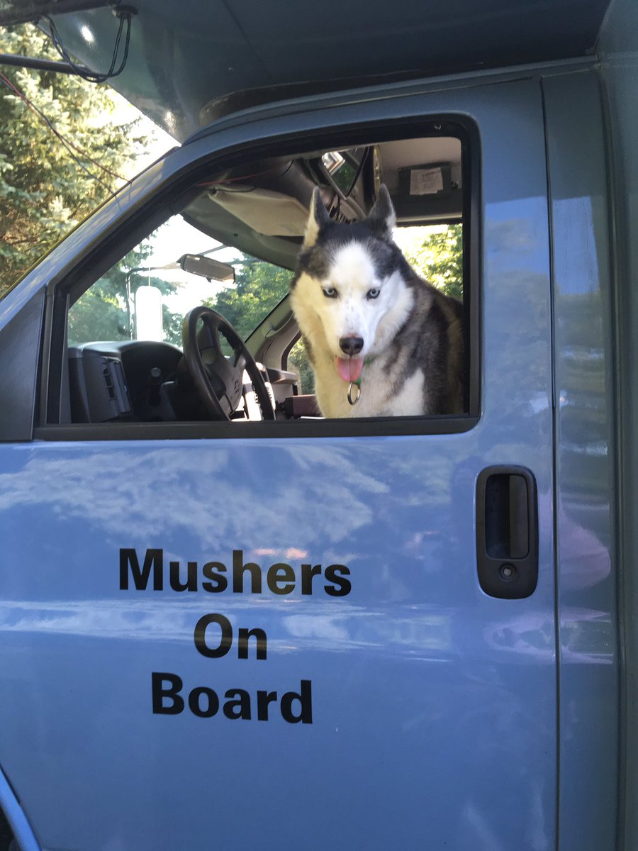 dcsleddog's tweet photo. Door County Sled Dogs - drivin' their little bus until it snows. #Huskies #FunDoorCounty https://t.co/LR6dkOZ5r0