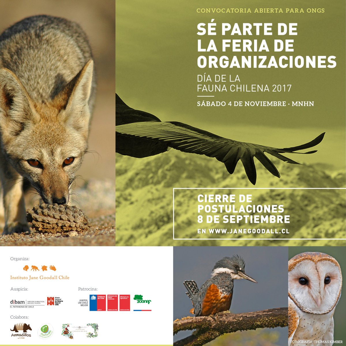 ¡Queda una semana! Postula ahora con tu ONG a la feria de organizaciones en janegoodall.cl