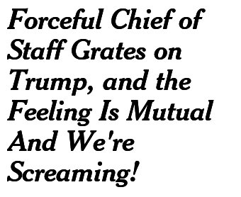 nytimes twitter