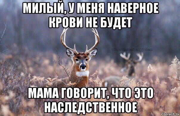 vitian_98's tweet photo. Брось пиздеть и положь  трубку https://t.co/dA0c0yrotF