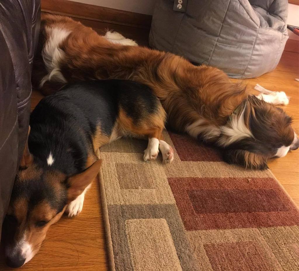 stiltsandstumps's tweet photo. This is how we partay on a Friday night. #asthoughtbyginger #asborkedbymaya #aplaceforsaints #worldofsaints #stber… https://t.co/aC8bWcnlha https://t.co/wxlk4OXx56