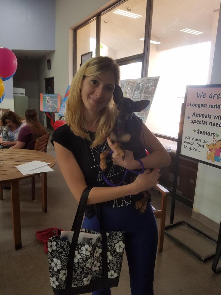 NevadaSPCA's tweet image. What a great day #nevadaspca. Thanks @Zappos &amp;amp; @AnimalLeague for the 40+ that found fur-ever homes today! #ZapposForPets