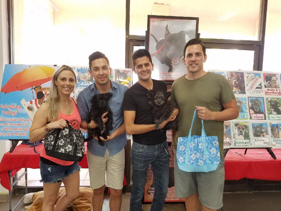 NevadaSPCA's tweet image. What a great day #nevadaspca. Thanks @Zappos &amp;amp; @AnimalLeague for the 40+ that found fur-ever homes today! #ZapposForPets