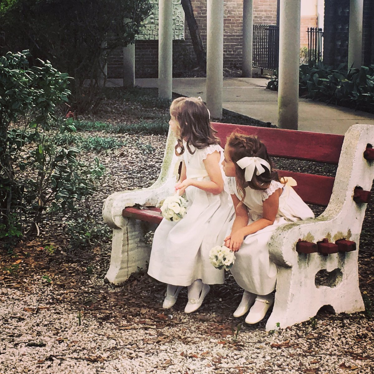 KBCookWeddings's tweet photo. All eyes on the bride ✨ #kbcookweddings #adiosandries #hellofranco #flowergirls #weddingdaysweetness  @staloysiusbr @atdwedding https://t.co/911q53khBR