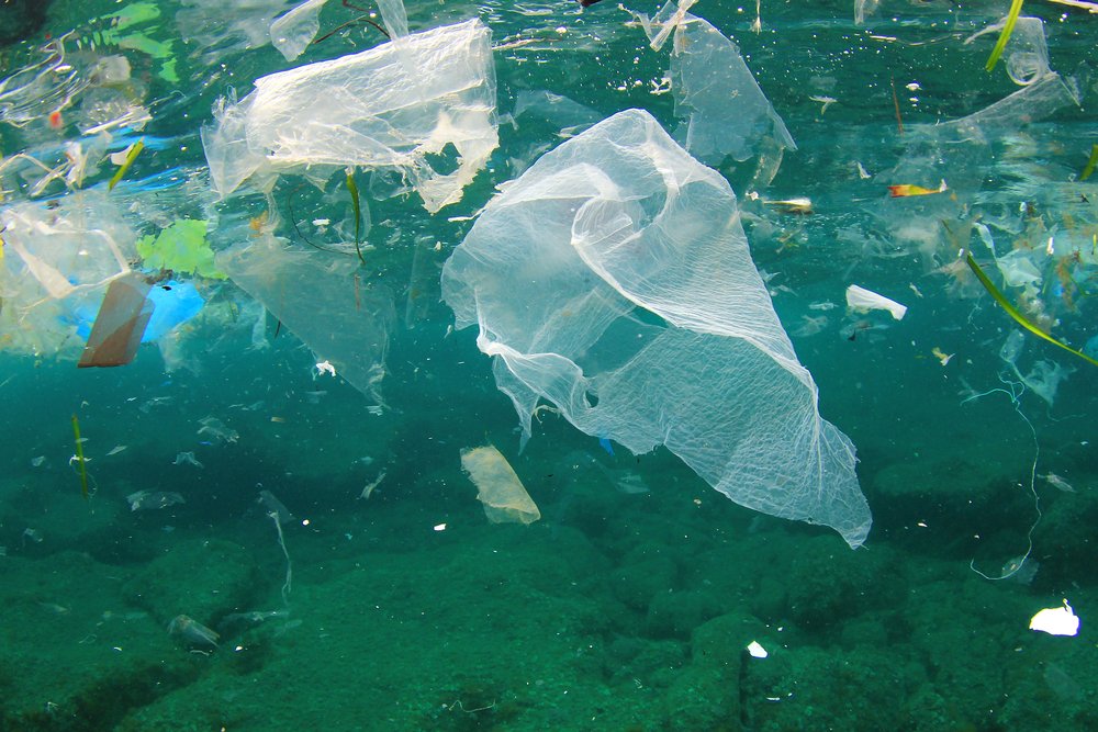 Be part of the movement to end the plastics problem. Take the #BreakFreeFromPlastics pledge now: ow.ly/8HU330eQTru