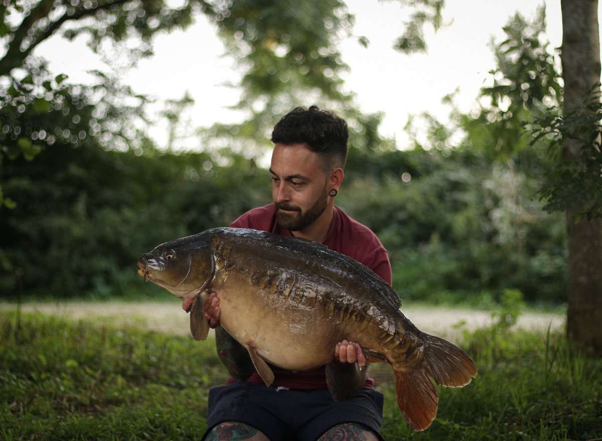 After a busy day filming I managed to get the rods out and was rewarded for my efforts. <a href="/ccmoore_baits/">CC Moore & Co Ltd</a>  <a href="/TotalCarpMag/">TotalCarpMag</a> @WofteClothing