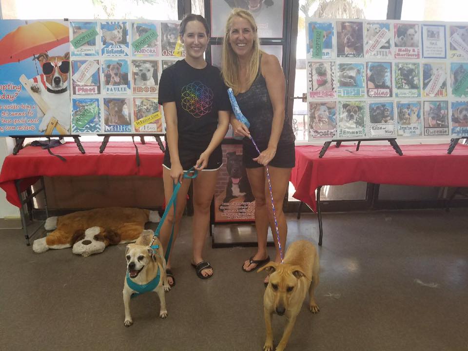 NevadaSPCA's tweet image. #Nevadaspca resident Bella found her Fur-Ever family today thanks to @Zappos &amp;amp; @AnimalLeague #Zapposforgood #ZapposForPets