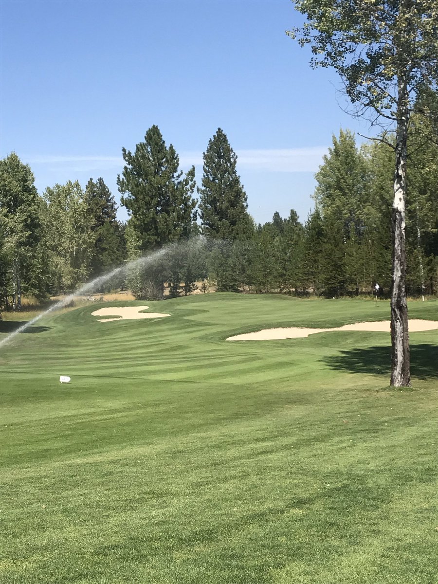 CVGCSUPER's tweet photo. Course looks great! Not a drop of rain since June 25th! #turf #golf #golfmt #LaborDayWeekend #turfporn #stripes #explorelibbymt https://t.co/LfEx3aGZ1u