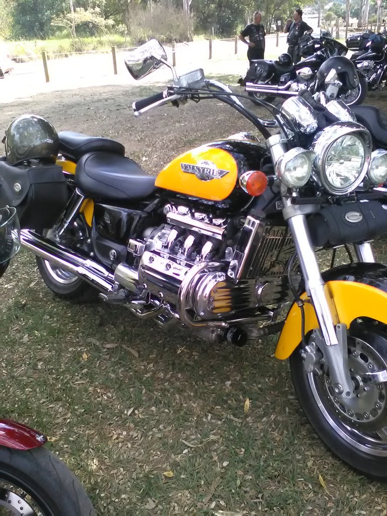 Frogs Hollow bike show
