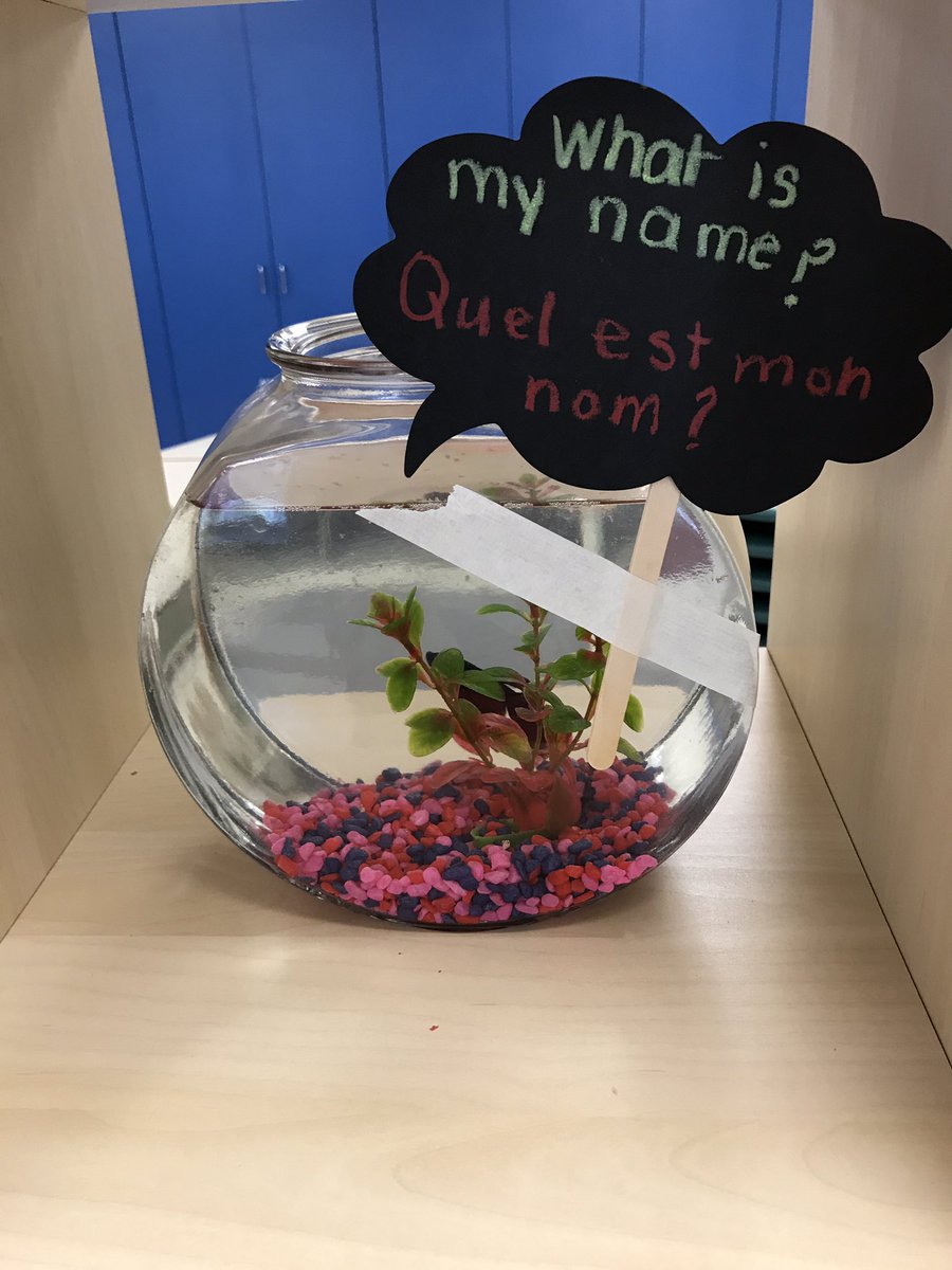 Ms_Ostrom's tweet photo. I wonder what his name will be! #dragonflyclass https://t.co/FRTYdzCkli