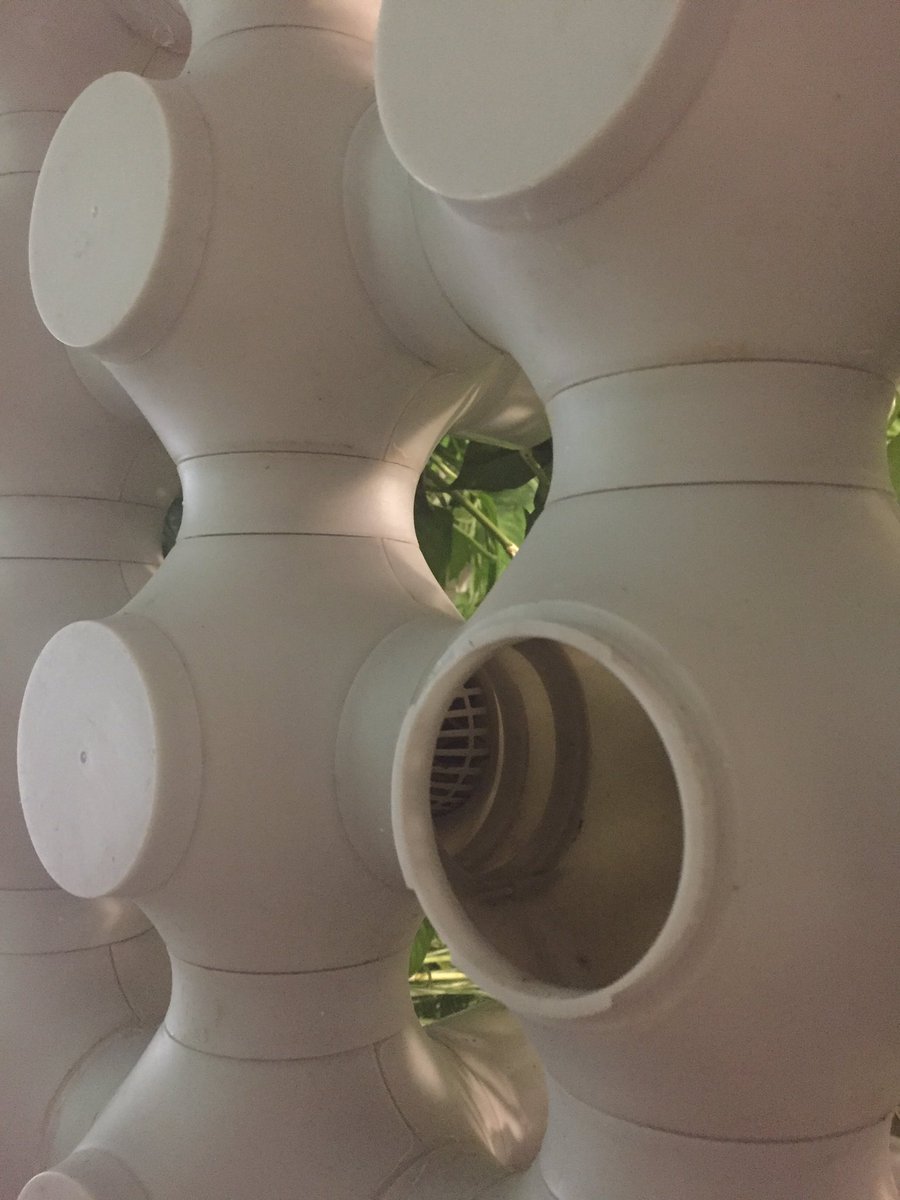 gwenwebber's tweet photo. Modular pp planting landscape at set-up of Donuimun museum village #seoulbiennale @British_Design @krBritish https://t.co/ZL6uNIeqIl