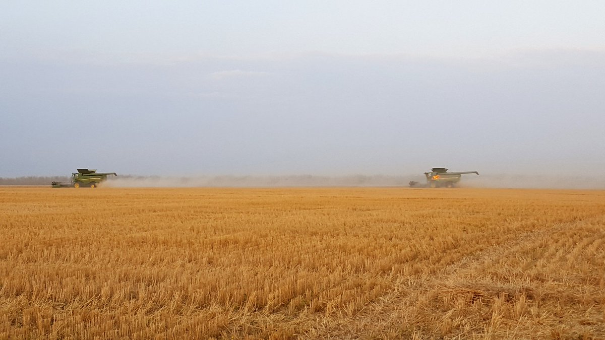 SeCanLauren's tweet photo. Yay #durum time, my favourite time & back to my fav vehicle #harvest17 #SaskSunsets #WensleyVenturesLtd https://t.co/fyQAHPNYhJ