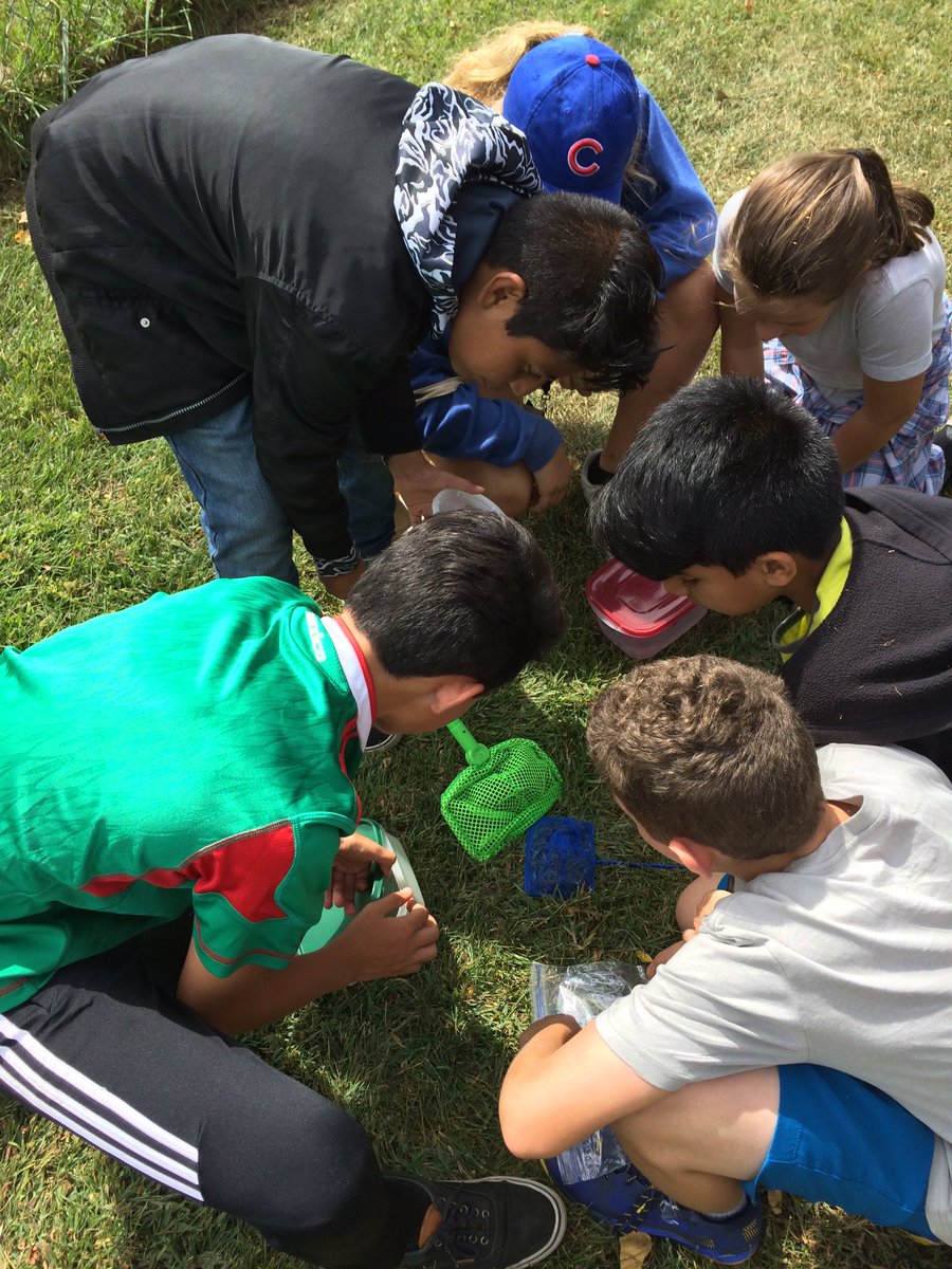 mack6thgrade's tweet photo. Lincoln 6th graders walked 2 Pike Lake today 2 catch insects for our insect collection proj. ☺️🐜🦋🐞 #WCSMission @BlocherLindsay @scottJsterk https://t.co/2BdK5VYAb7