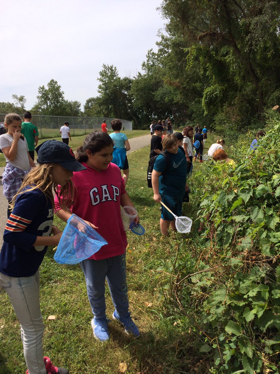 mack6thgrade's tweet photo. Lincoln 6th graders walked 2 Pike Lake today 2 catch insects for our insect collection proj. ☺️🐜🦋🐞 #WCSMission @BlocherLindsay @scottJsterk https://t.co/2BdK5VYAb7