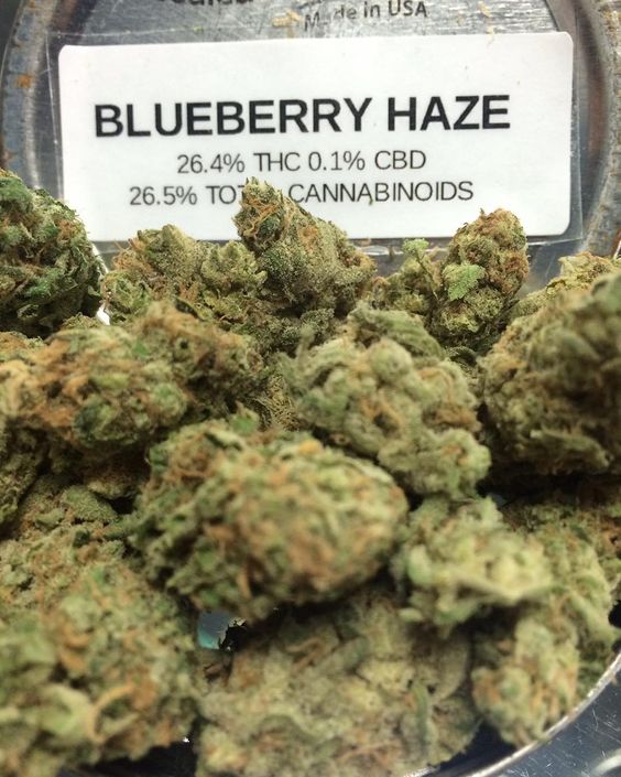 faustineHENSE1's tweet image. Buy Medical Marijuana,OGKush,AK47,Moonrocks,Edibles,Can Seeds,Can Oil,GDP.hmu get lifted +1 240 4196471/faustinehense@gmail.com