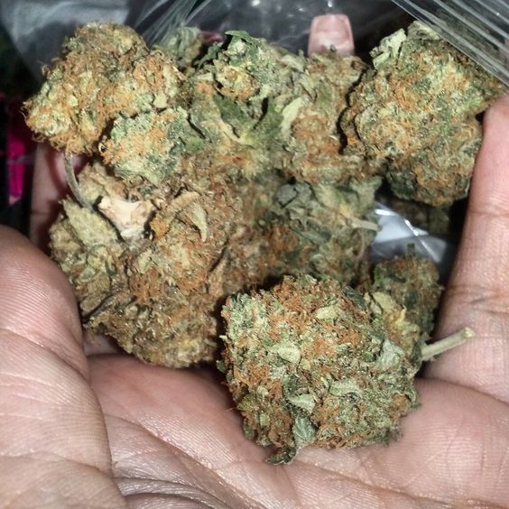 faustineHENSE1's tweet image. Buy Medical Marijuana,OGKush,AK47,Moonrocks,Edibles,Can Seeds,Can Oil,GDP.hmu get lifted +1 240 4196471/faustinehense@gmail.com