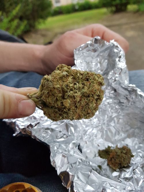 faustineHENSE1's tweet image. Buy Medical Marijuana,OGKush,AK47,Moonrocks,Edibles,Can Seeds,Can Oil,GDP.hmu get lifted +1 240 4196471/faustinehense@gmail.com