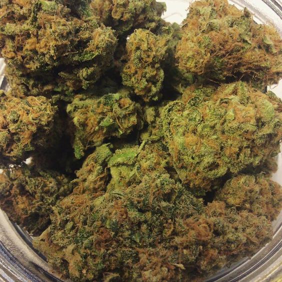 faustineHENSE1's tweet image. Buy Medical Marijuana,OGKush,AK47,Moonrocks,Edibles,Can Seeds,Can Oil,GDP.hmu get lifted +1 240 4196471/faustinehense@gmail.com