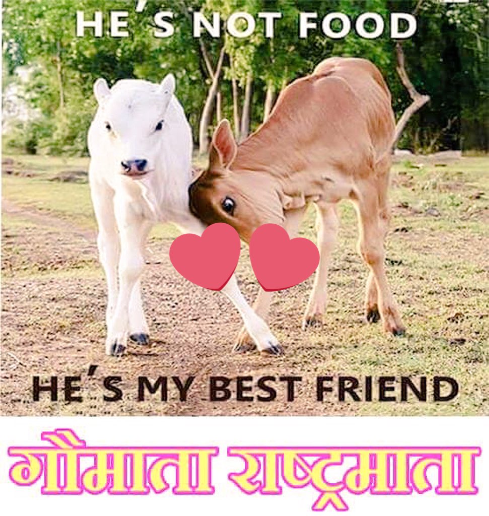 dineshrawats's tweet photo. https://t.co/7FqKGoJd7e