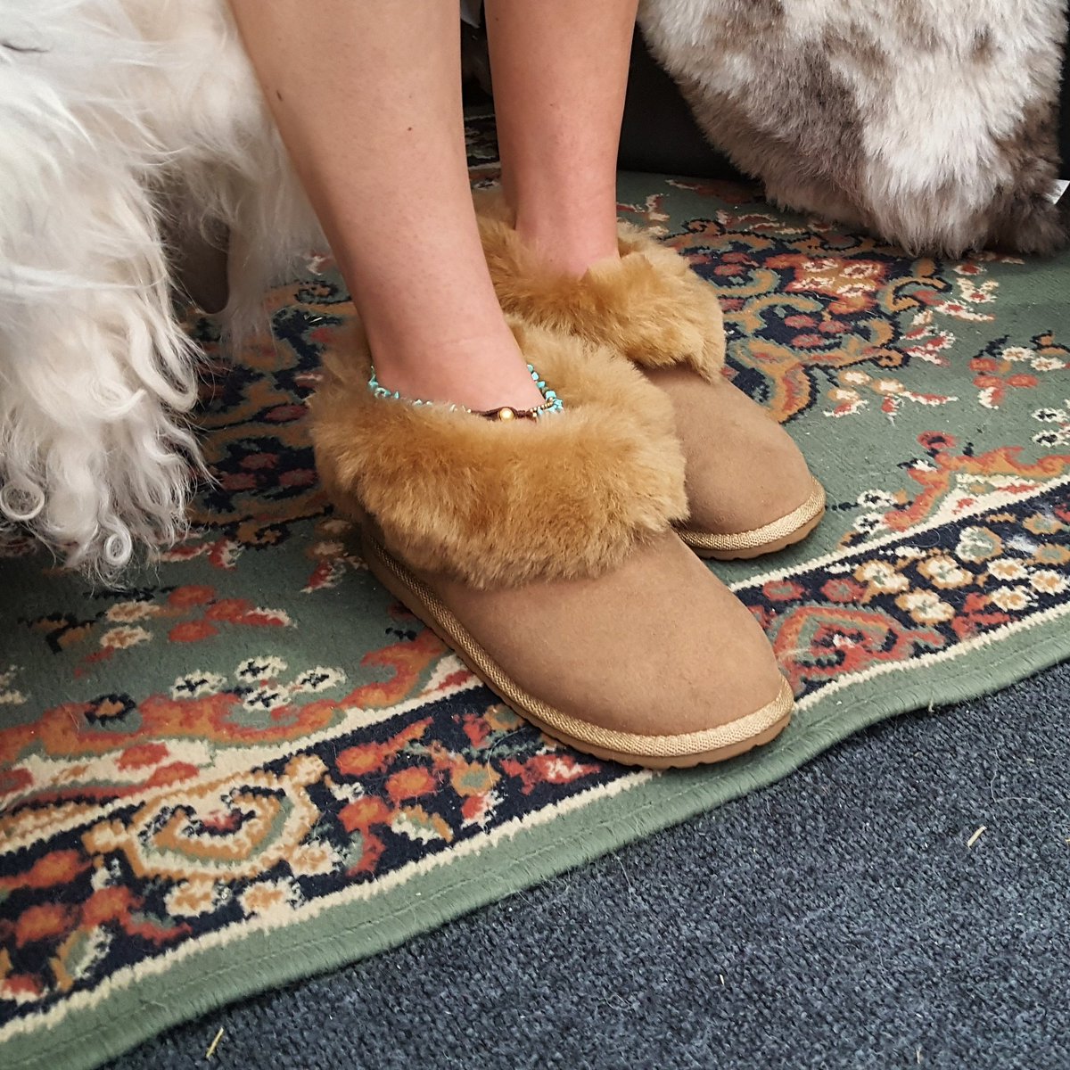 BySikora's tweet photo. Day 3 @LRBHT_Official in the @countrylivinguk makers marquee. Boot slippers are a hit- come and try! #CLontheroad https://t.co/vW23SNRcMc https://t.co/MIclgNe6iG