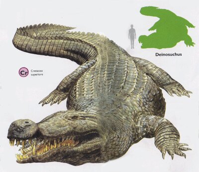 WeParanormal's tweet photo. The #Deinosuchus ! #Nature can be #scary !

#scary #paranormal #weird #wtf #ufo #alien #aliens #ghost #horror #scared #conspiracy #haunted https://t.co/LRdqZla556