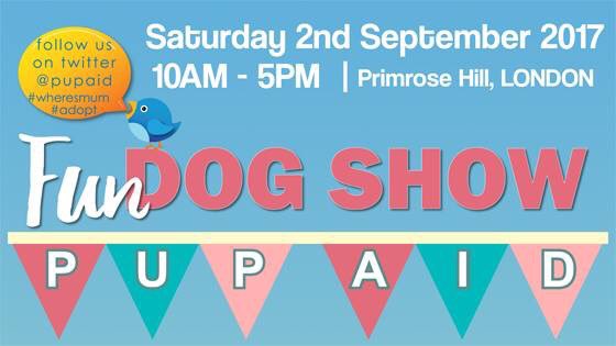 What a lovely day for the much loved @pupaid #FunDogShow in #PrimroseHill TODAY 10-5! #dogs #kids #families #nopuppyfarming ☀️🐶❤️