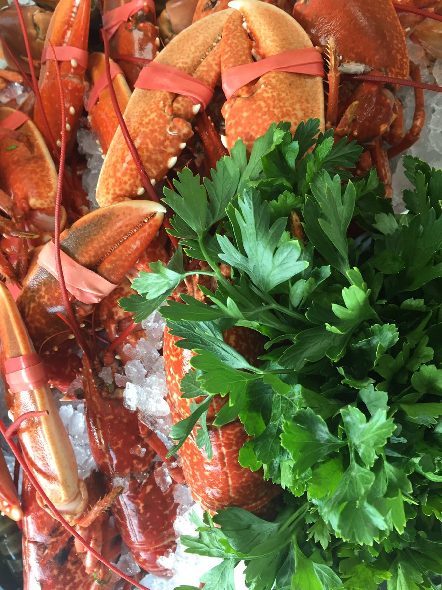 Passion4fish's tweet photo. Beautiful fish today thank you @cornish_lobster #AndrewsCatch https://t.co/y4jt2P5pmB