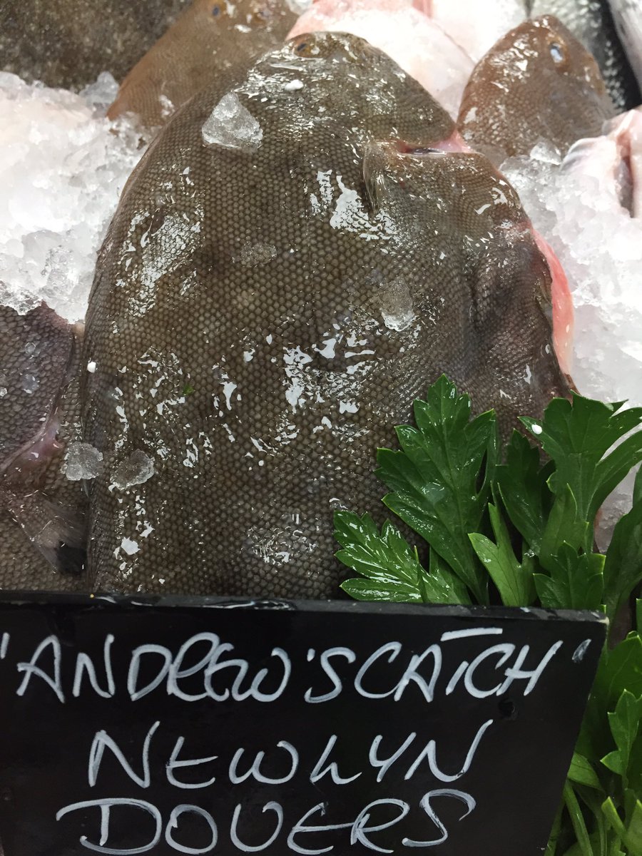 Passion4fish's tweet photo. Beautiful fish today thank you @cornish_lobster #AndrewsCatch https://t.co/y4jt2P5pmB