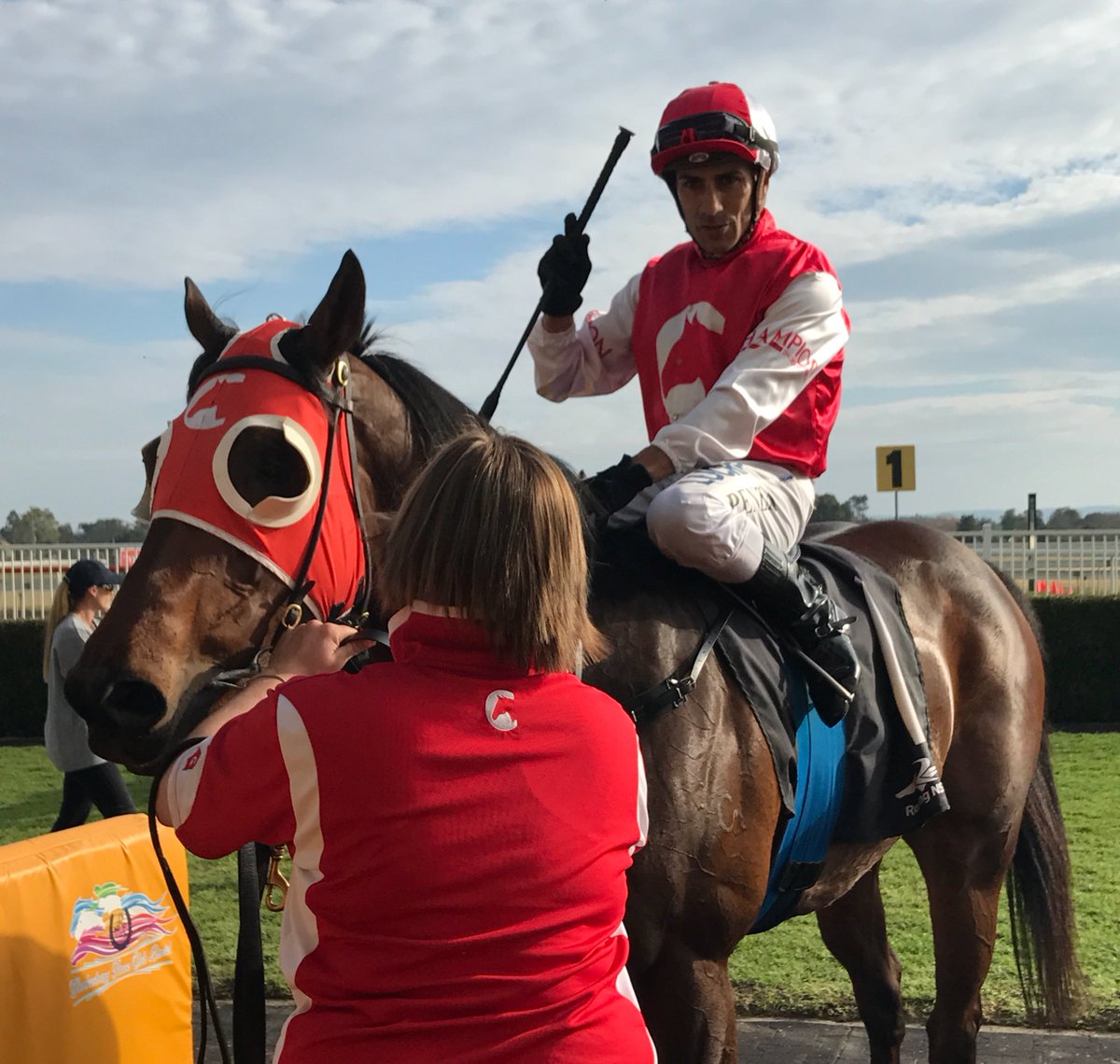 ChampionTbreds's tweet photo. Welcome back John O'Shea 🎉🍾🌟 PARLAY VOUS returns to the winners circle @hawkesburyrc this afternoon. Well done to his owners https://t.co/nQonZHA3CS