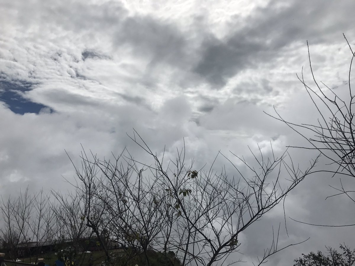 cocomemoryy's tweet photo. หนาวนี้กอดใคร หนาวไหม มากอดกัน #ภูทับเบิก #coconai https://t.co/tcCckE96Nb