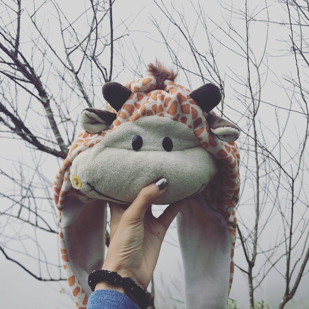 cocomemoryy's tweet photo. หนาวไหม มากอดกัน #ภูทับเบิก #coconai https://t.co/zmoflnw8ui