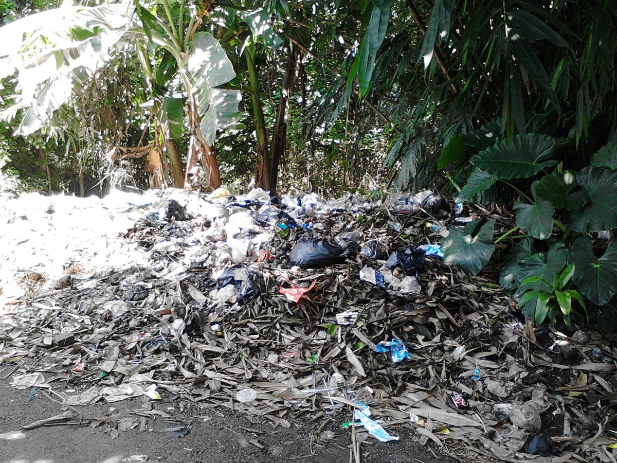 lokasi kecamatan ciasem dan kecamatan cipendeuy  Kabupaten Subang cc <a href="/KemenLHK/">Min Env & Forestry</a>  @KementrianLHK