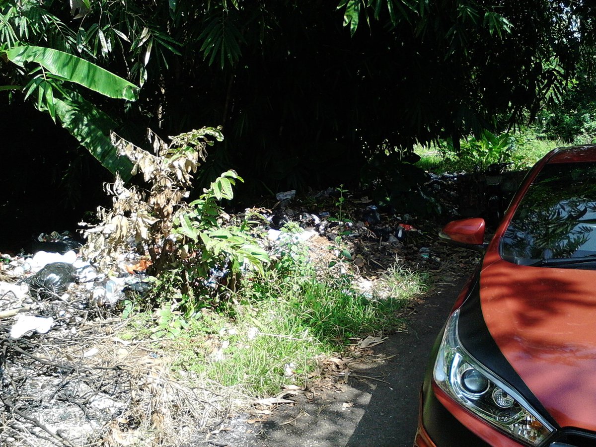 SBGcleanact!on tweet media