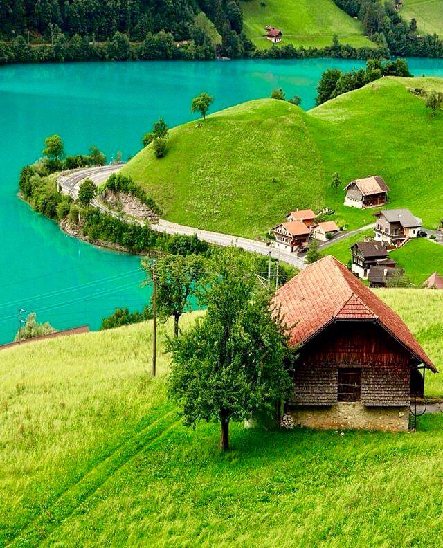 LALPUSHP's tweet photo. Nature is the original Picasso...
Lets us thank Nature for its perennial effervescence of colours... https://t.co/yEqWxtJv7H