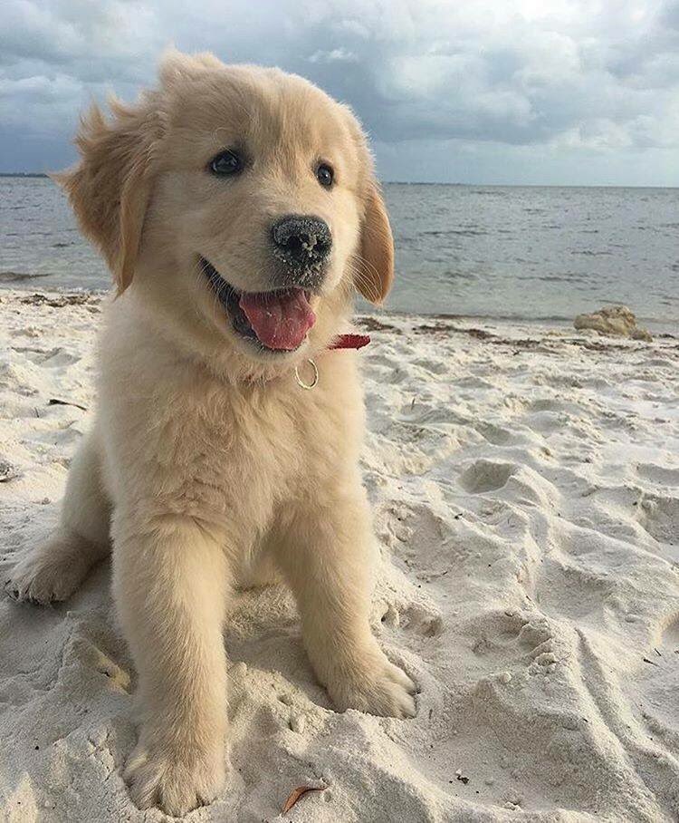 iN06h's tweet photo. How cute!!😍 https://t.co/CZ9XllMzRn