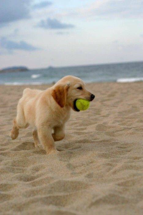 iN06h's tweet photo. How cute!!😍 https://t.co/CZ9XllMzRn