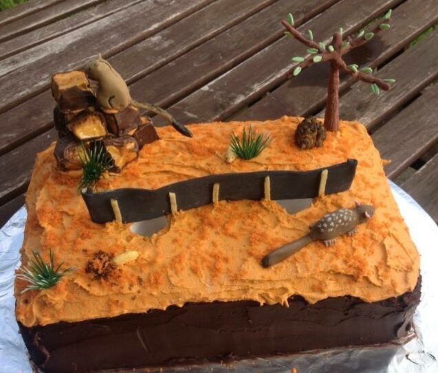 For the more technically minded, this is a Kimberley pit-fall trap line cake with a Marsupial mole on the side by <a href="/WestBec/">Bec West</a> <a href="/UNSW/">UNSW</a> #TSBakeOff
