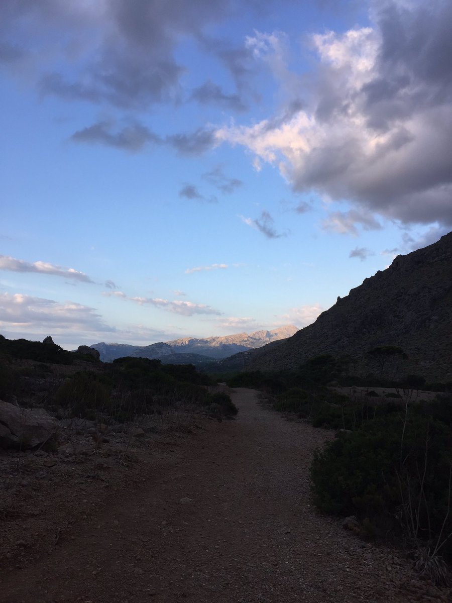 daveliverbirder's tweet photo. Blk Vulture, Bal & Sard Warb, 4 Wryneck, Redstart, 3 Pied Fly, Hoopoe, BRT, Woodchat, Cirl, Wheatear, Chiffs etc #mallorcabirding #boquer https://t.co/e6Ehz4Jb5R