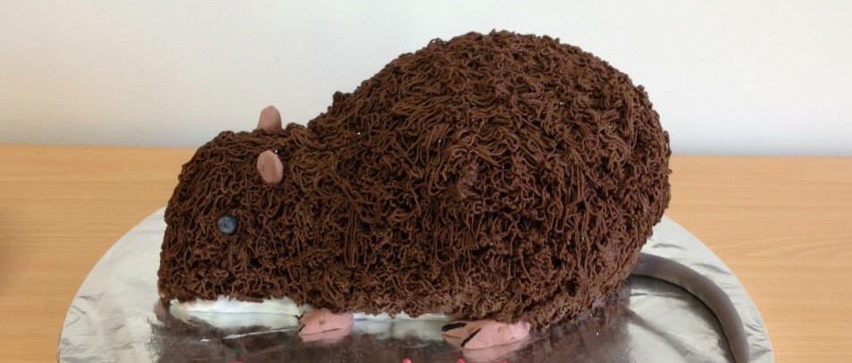 Join the #TSBakeOff this #ThreatenedSpecies Day Thurs 7 Sept and perhaps bake a Bandicoot cake like <a href="/WestBec/">Bec West</a> bit.ly/2gwJIAu