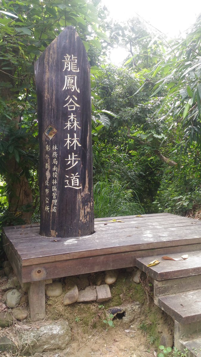 龍鳳谷森林步道hashtag On Twitter