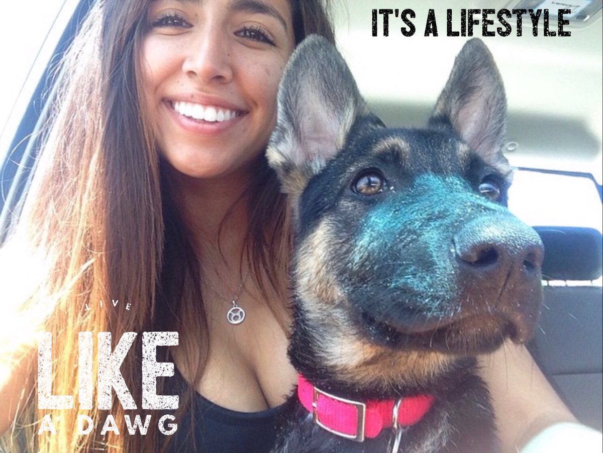 LiveLikeADawg's tweet photo. Live like a dawg https://t.co/4yfaq9U1ld