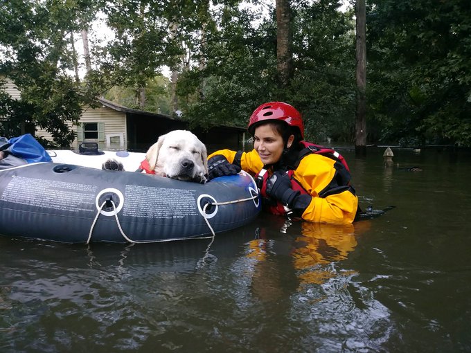 在 Twitter 上觀看圖片