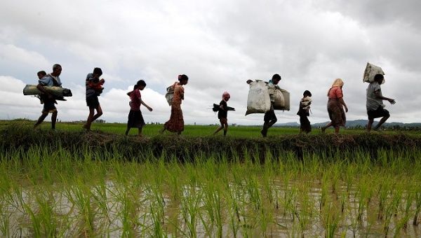 telesurenglish's tweet photo. Communist Party of Bangladesh condemns atrocities against Myanmar’s Rohingyas
https://t.co/hcip0U0tTQ https://t.co/vCWQ7ZAKmJ