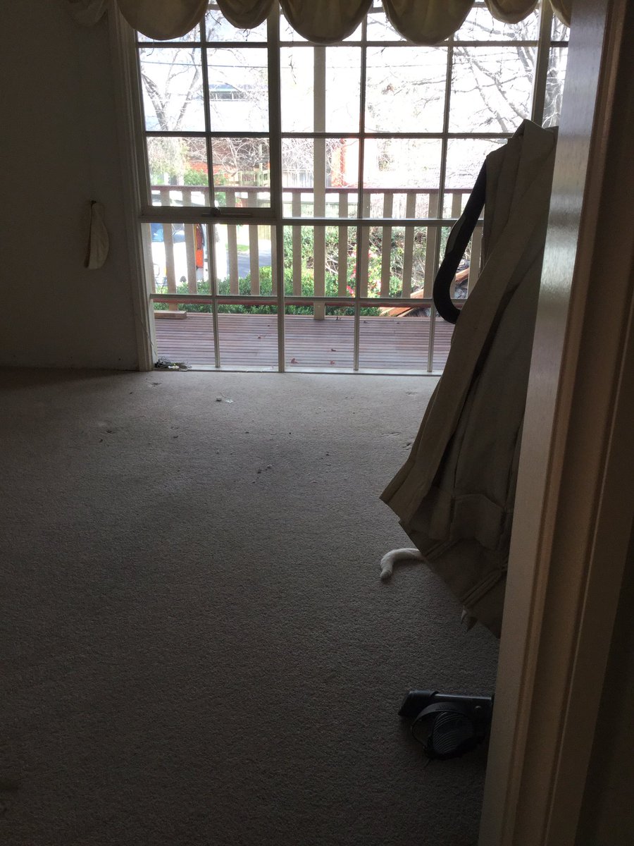 Jane 🚌 🇦🇺 tweet media