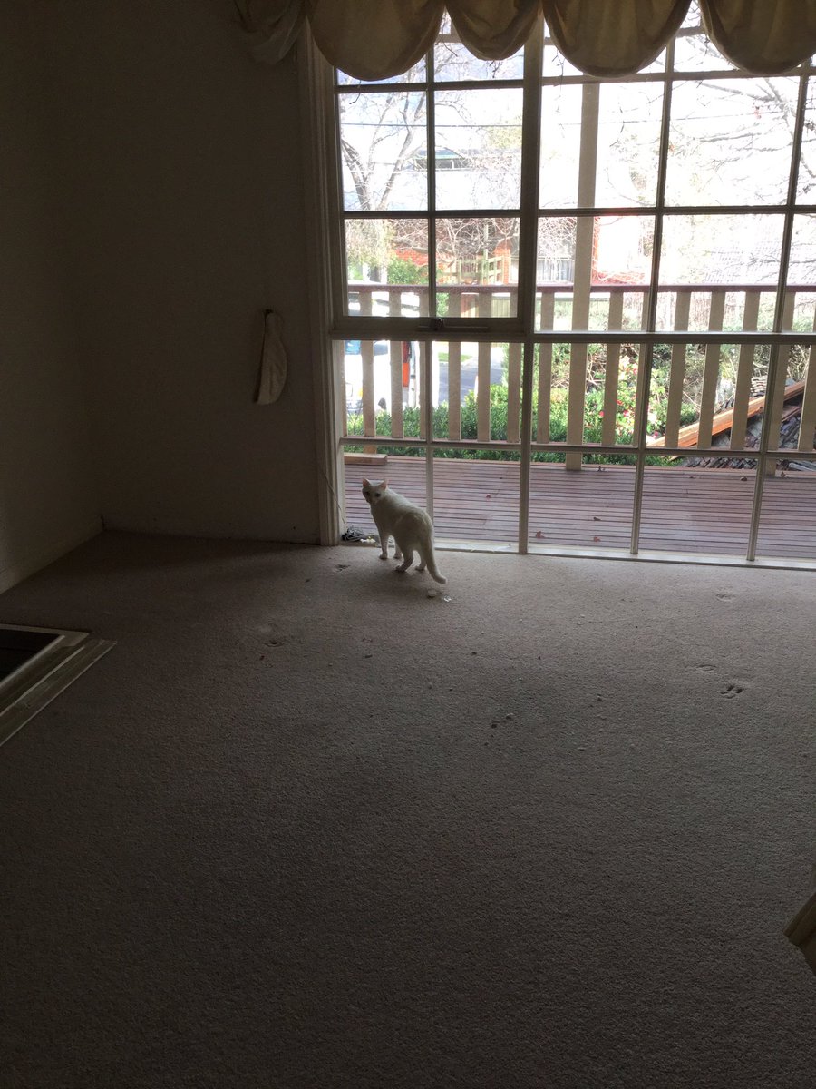 Jane 🚌 🇦🇺 tweet media