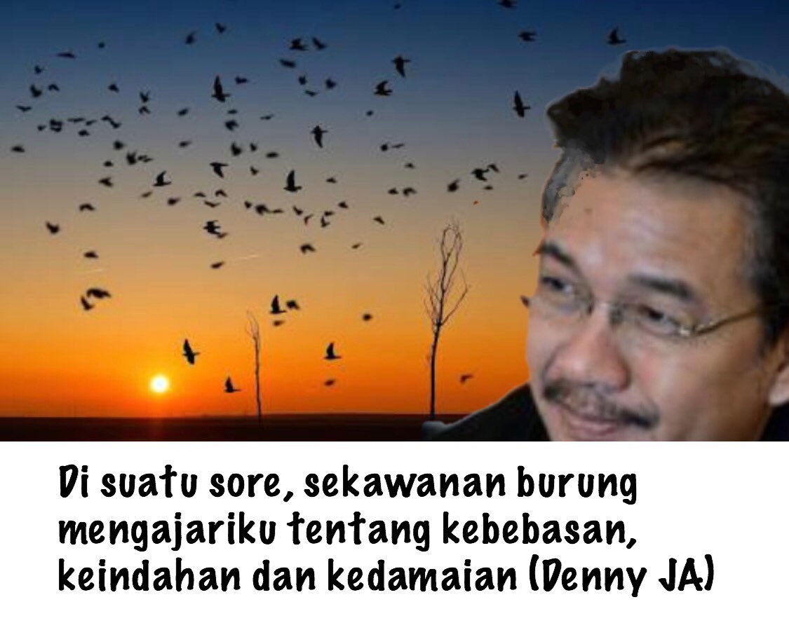 DennyJA_WORLD's tweet photo. Di suatu sore, sekawanan burung mengajariku tentang kebebasan, keindahan dan kedamaian (Denny JA) https://t.co/TPAO2m1xfC