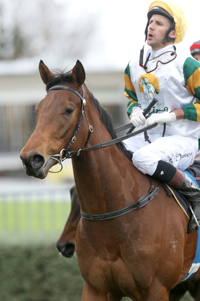 NZ Racing News (@nzracingnews) on Twitter photo <a href="/PikeRacing/">Pike Racing</a> has plenty of options with unbeaten #Bostonian following Lstd El Roca <a href="/HawkesBayRacing/">Hawkes Bay Racing</a> win racingnews.co.nz/blog/post/2040… <a href="/PikeRacing/">Pike Racing</a> has plenty of options with unbeaten #Bostonian following Lstd El Roca <a href="/HawkesBayRacing/">Hawkes Bay Racing</a> win racingnews.co.nz/blog/post/2040…