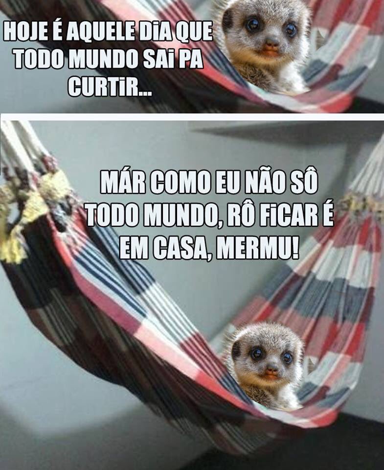 ribeiroterceiro's tweet photo. Em casa https://t.co/CqfzsSG3QF