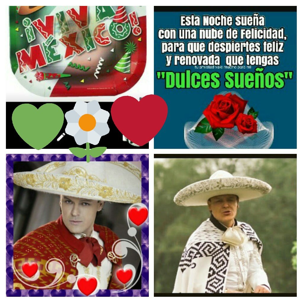 ALICIAMORALES29's tweet photo. @pedro_fer Bombyy😍😍🙏😘😘❤ y qrid@s pedrifans pedrulcesños y un dulce despertar #UnSábadoMás genial 😴😴🙅🙏😘😘💖 #PedroFdzPorSiempre🍀🍀🌼🌷🌷 #40Anv https://t.co/zo3BEVXcU0