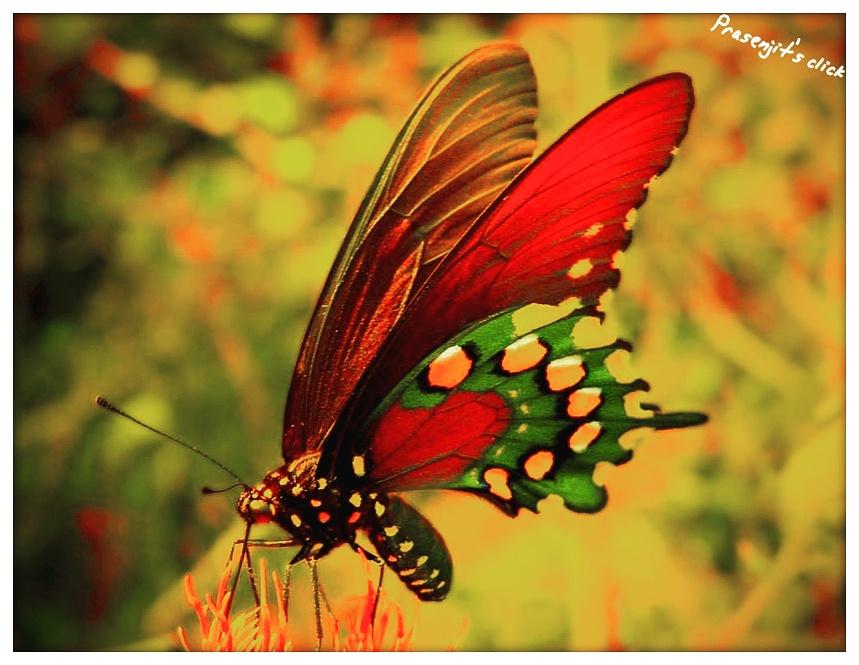 Prasenjit0707's tweet photo. https://t.co/um8GFMXyyt